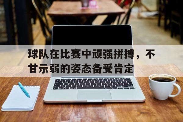 关于球队在比赛中顽强拼搏,不甘示弱的姿态备受肯定的信息